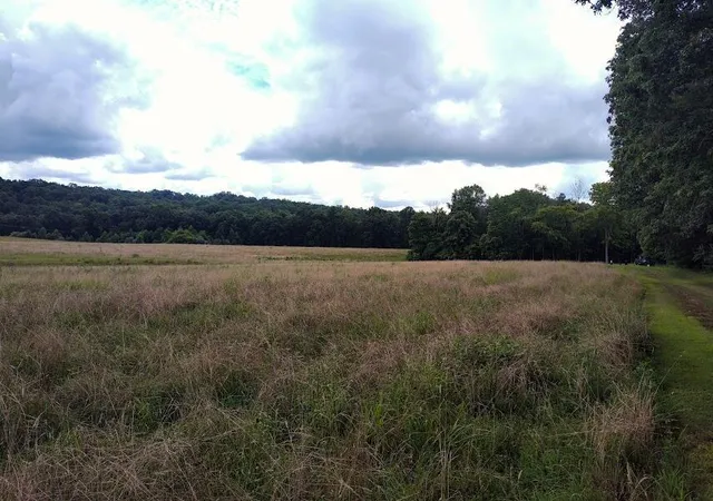 Photo 3 of Land for sale at 460 Skaggs Rd, Morehead, KY 40351 | MLS# 26007931 | Listing updated on 2026-04-15