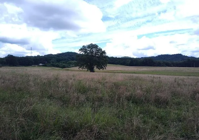 Photo 5 of Land for sale at 460 Skaggs Rd, Morehead, KY 40351 | MLS# 26007931 | Listing updated on 2026-04-15