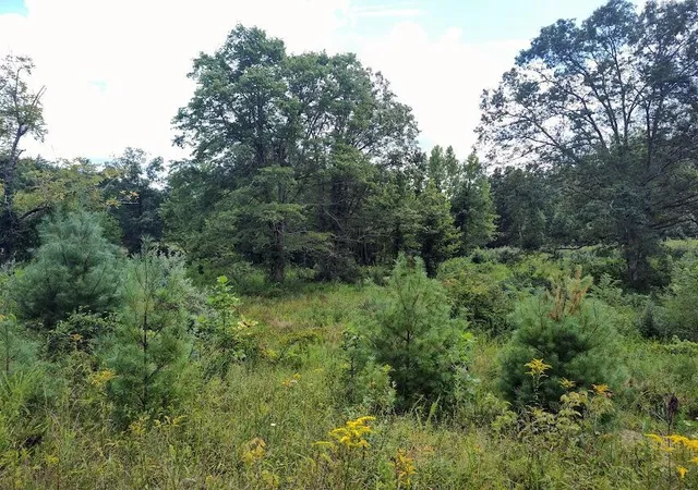 Photo 2 of Land for sale at 1150 Logan Holw Rd, Morehead, KY 40351 | MLS# 26007932 | Listing updated on 2026-04-15