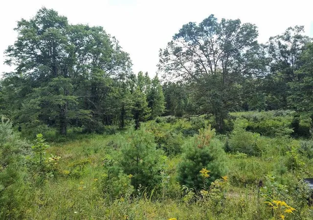 Photo 3 of Land for sale at 1150 Logan Holw Rd, Morehead, KY 40351 | MLS# 26007932 | Listing updated on 2026-04-15