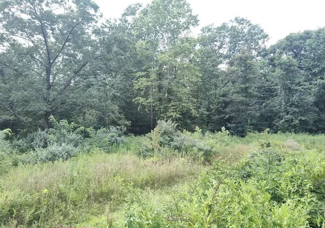 Photo 4 of Land for sale at 1150 Logan Holw Rd, Morehead, KY 40351 | MLS# 26007932 | Listing updated on 2026-04-15