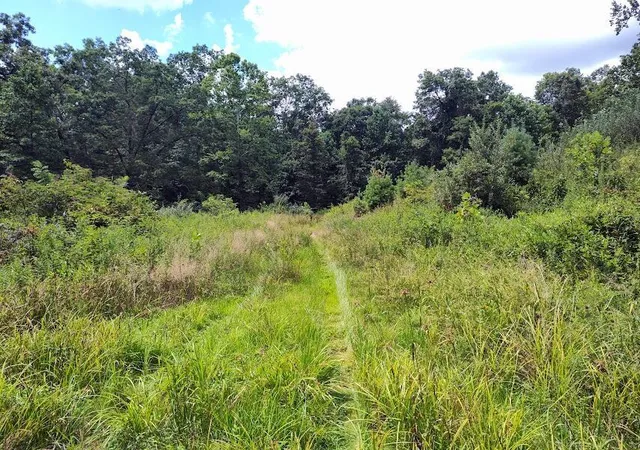 Photo 7 of Land for sale at 1150 Logan Holw Rd, Morehead, KY 40351 | MLS# 26007932 | Listing updated on 2026-04-15