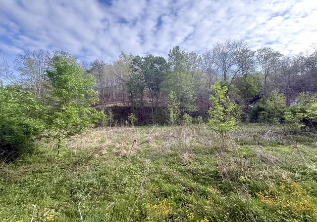 Homes for sale in Irvine, KY | 99999 Walling Rd, Irvine, KY 40336 | MLS# 26008024