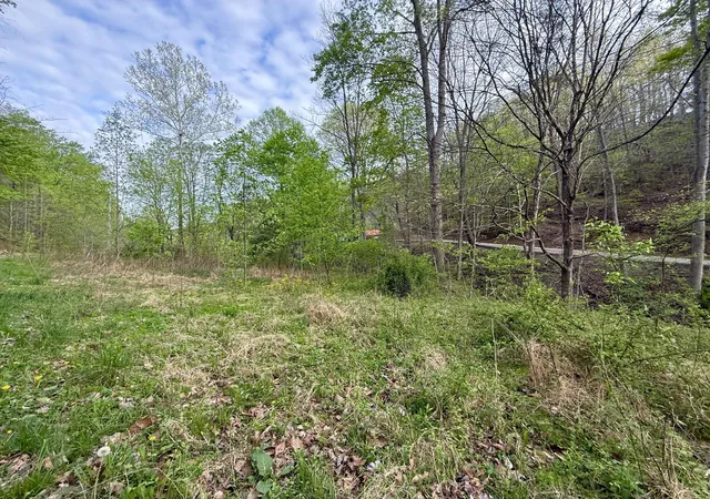 Homes for sale in Irvine, KY | 99999 Walling Rd, Irvine, KY 40336 | MLS# 26008024