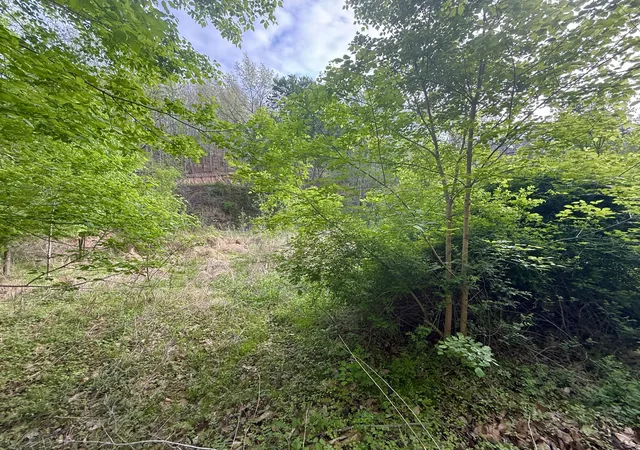 Homes for sale in Irvine, KY | 99999 Walling Rd, Irvine, KY 40336 | MLS# 26008024
