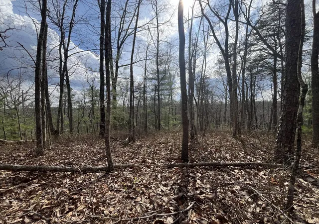 Homes for sale in Ravenna, KY | Lot 2 Mountain Springs Cem Rd, Ravenna, KY 40472 | MLS# 26008135