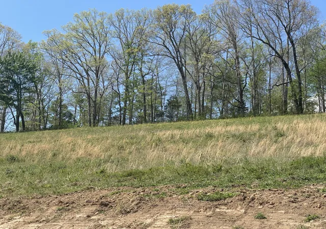 Photo 4 of Land for sale at 148 Coon Trl, East Bernstadt, KY 40729 | MLS# 26008156 | Listing updated on 2026-05-01
