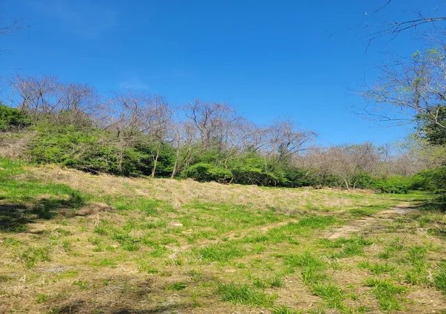 2nd image of 233 Season Hill Farm Ln, Richmond, KY 40475 | MLS# 26008398