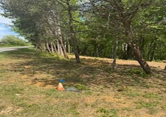 Photo 1 of Land for sale at 10608 Highway 196, Nancy, KY 42544 | MLS# 26009429 | Listing updated on 2026-08-24