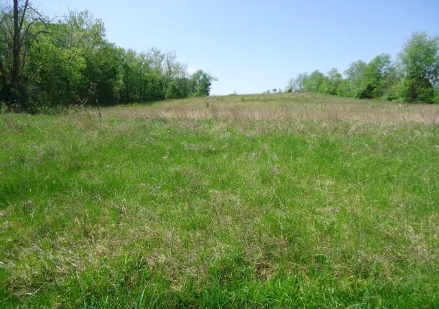 Homes for sale in Stanford, KY | 17a William Whitley Rd, Stanford, KY 40484 | MLS# 26008451