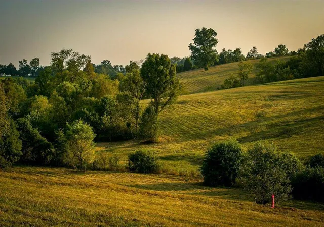 Homes for sale in Stanford, KY | 00 Deer Chase Rd #Tract 15, Stanford, KY 40484 | MLS# 26008825