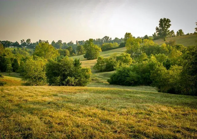 Homes for sale in Stanford, KY | 00 Deer Chase Rd #Tract 15, Stanford, KY 40484 | MLS# 26008825