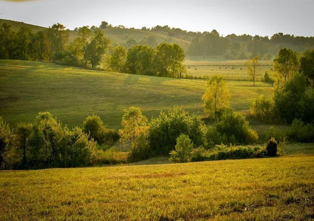 Homes for sale in Stanford, KY | 00 Deer Chase Rd #Tract 15, Stanford, KY 40484 | MLS# 26008825