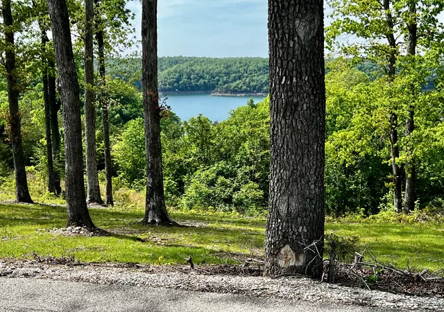 Photo 2 of Land for sale at Track 5 And 6 Arthur Rd, Monticello, KY 42633 | MLS# 26008608 | Listing updated on 2026-04-21