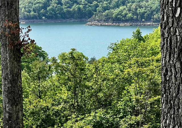 Photo 3 of Land for sale at Track 5 And 6 Arthur Rd, Monticello, KY 42633 | MLS# 26008608 | Listing updated on 2026-04-21