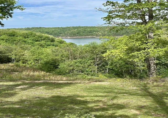 Photo 4 of Land for sale at Track 5 And 6 Arthur Rd, Monticello, KY 42633 | MLS# 26008608 | Listing updated on 2026-04-21