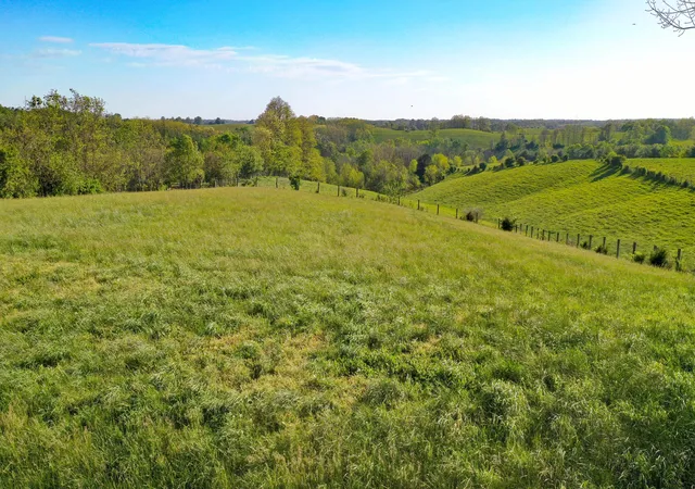 Homes for sale in Paris, KY | 1 Gillispie Rd, Paris, KY 40361 | MLS# 26011332