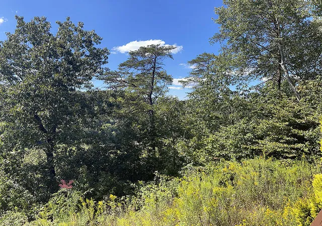 Photo 3 of Land for sale at Lot 148 Stillwater, Russell Springs, KY 42642 | MLS# 26008854 | Listing updated on 2026-10-14