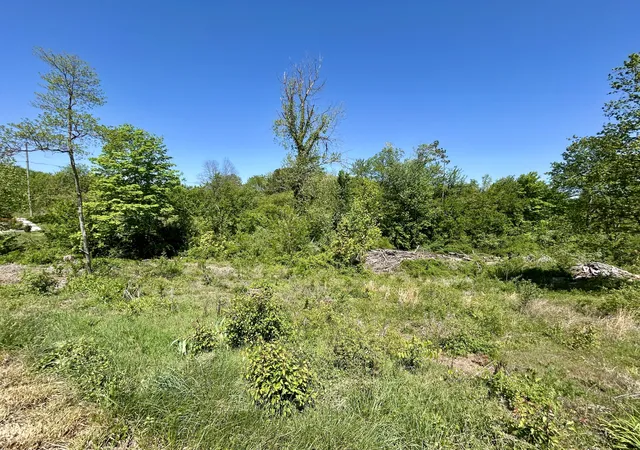 Photo 3 of Land for sale at 86 Rose Point, Somerset, KY 42503 | MLS# 26009103 | Listing updated on 2026-08-23