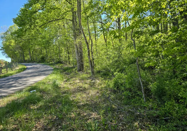 Homes for sale in Kings Mountain, KY | Tract C Angel Ridge Rd, Kings Mountain, KY 40442 | MLS# 26009007