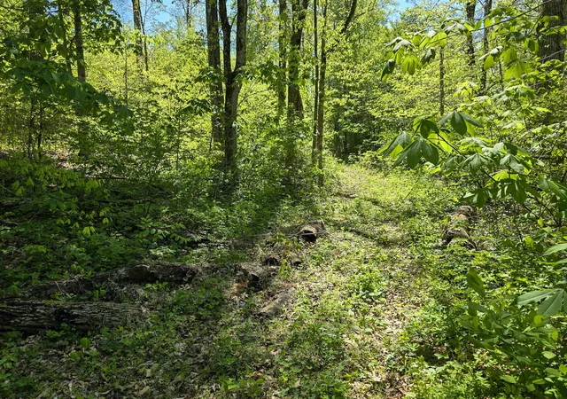 Homes for sale in Kings Mountain, KY | Tract C Angel Ridge Rd, Kings Mountain, KY 40442 | MLS# 26009007
