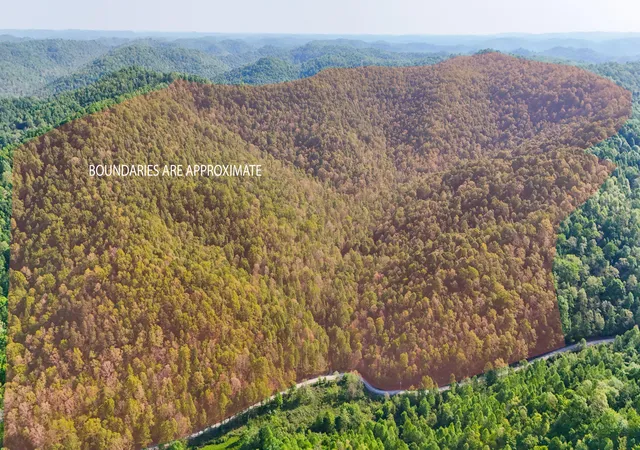 Homes for sale in Hinkle, KY | 0 Hawn Branch Rd, Hinkle, KY 40953 | MLS# 26009045