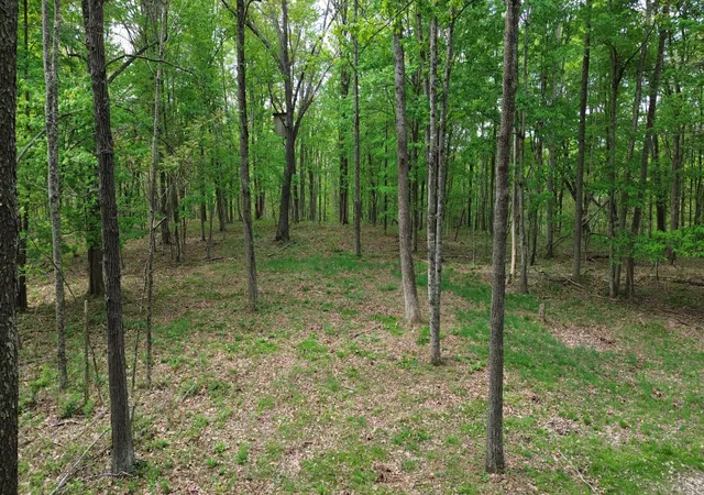 Photo 1 of Land for sale at 694a Tunnel Ridge Rd, Argillite, KY 41121 | MLS# 26009109 | Listing updated on 2026-07-29