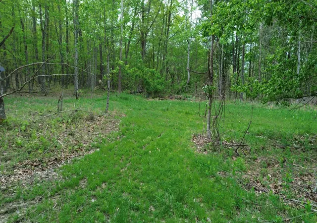 Photo 1 of Land for sale at 566a Tunnel Ridge Rd, Argillite, KY 41121 | MLS# 26009111 | Listing updated on 2026-07-29
