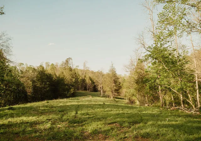 4th image of 2697 Pine Ridge Rd, Winchester, KY 40391 | MLS# 26009146