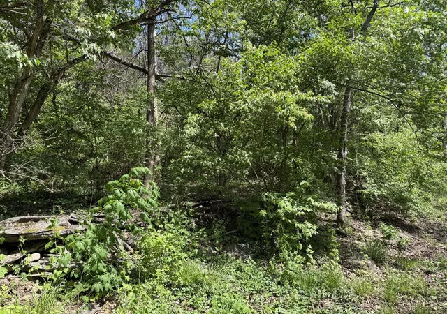 Land for sale at Lot #1 June Bug Ln, Nicholasville, KY 40356 | MLS# 26023320