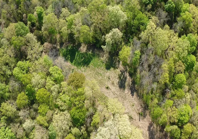 Photo 3 of Land for sale at 340 Harmony Rd, Owenton, KY 40359 | MLS# 26009354 | Listing updated on 2026-06-08