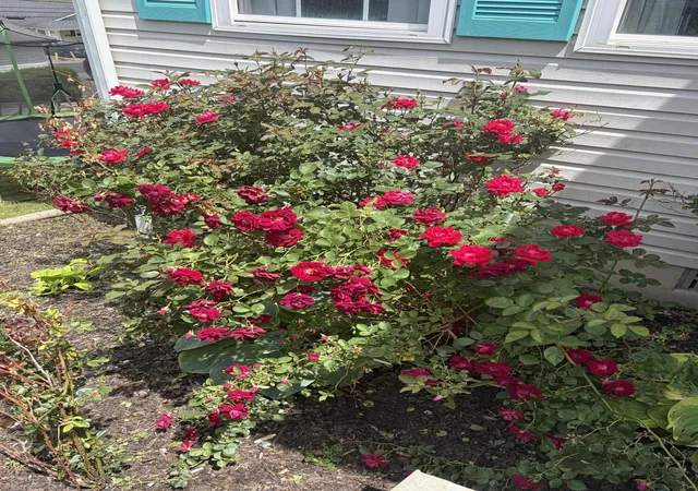 Photo 3 of Single family home for sale at 507 Swan St, Corbin, KY 40701 | MLS# 26009245 | Listing updated on 2026-07-22