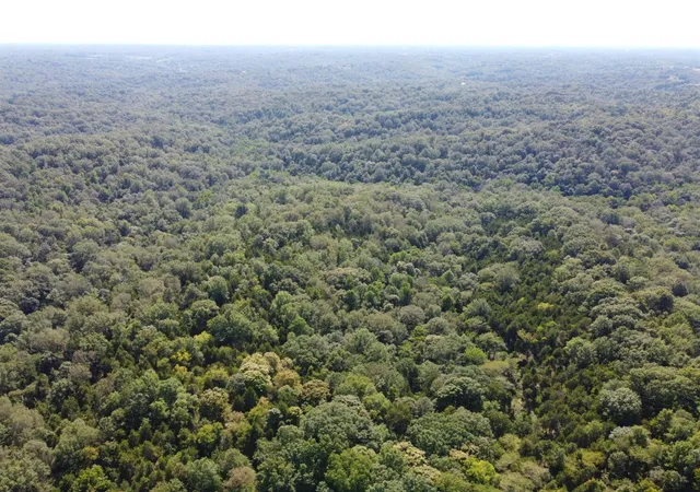 2nd image of 91 Flags Fork Rd, Frankfort, KY 40601 | MLS# 26009325