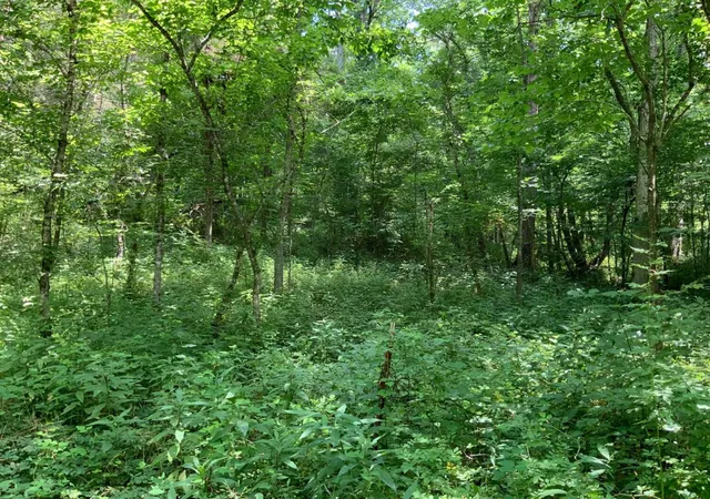 3rd image of 91 Flags Fork Rd, Frankfort, KY 40601 | MLS# 26009325
