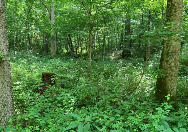 4th image of 91 Flags Fork Rd, Frankfort, KY 40601 | MLS# 26009325