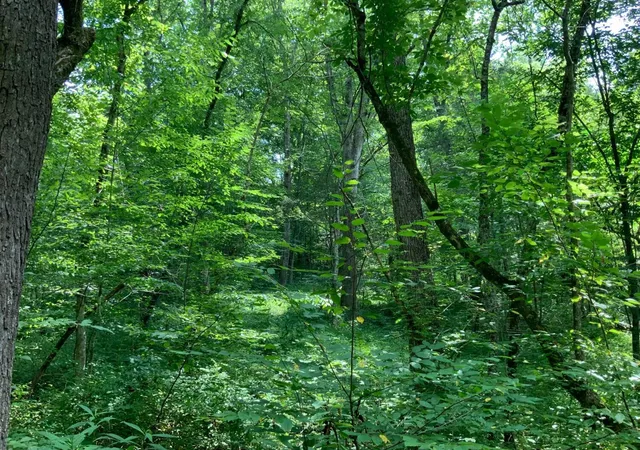 5th image of 91 Flags Fork Rd, Frankfort, KY 40601 | MLS# 26009325
