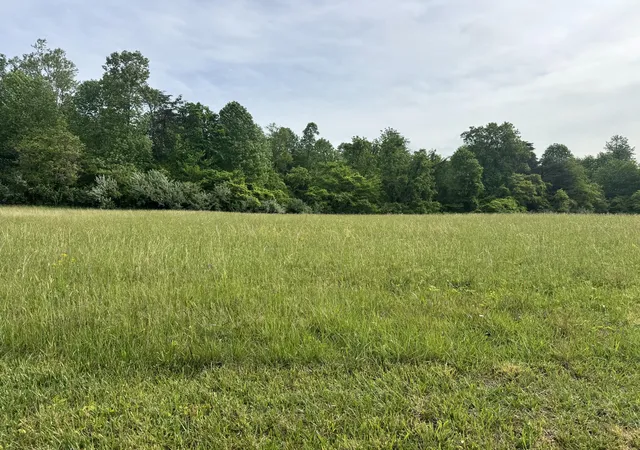 Homes for sale in Jamestown, KY | Lot 115 Mooring Dr, Jamestown, KY 42629 | MLS# 26009329