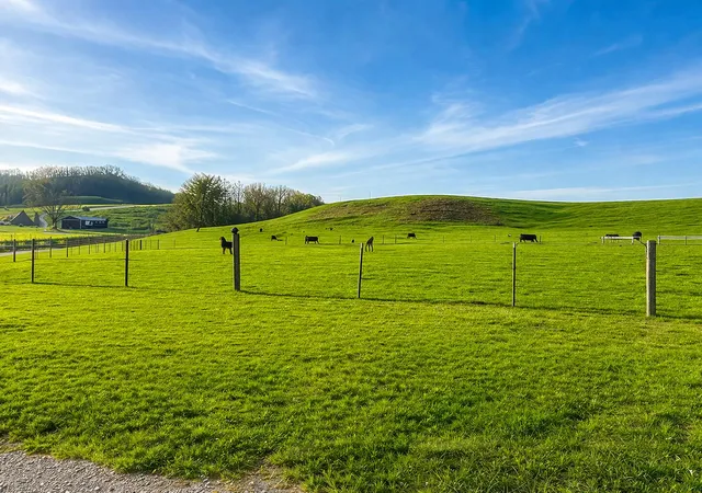 Homes for sale in Hustonville, KY | 620 Norris Rd, Hustonville, KY 40437 | MLS# 26009440
