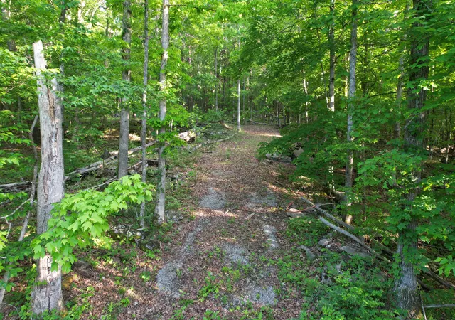 Homes for sale in Bronston, KY | 0 Echo Point Rd #Tract 1, Bronston, KY 42518 | MLS# 26009746