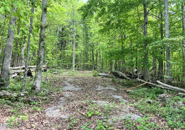 Homes for sale in Bronston, KY | 0 Echo Point Rd #Tract 1, Bronston, KY 42518 | MLS# 26009746