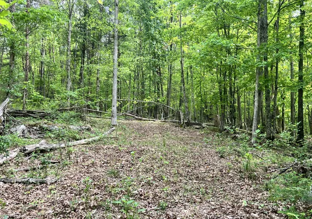 Homes for sale in Bronston, KY | 0 Echo Point Rd #Tract 1, Bronston, KY 42518 | MLS# 26009746