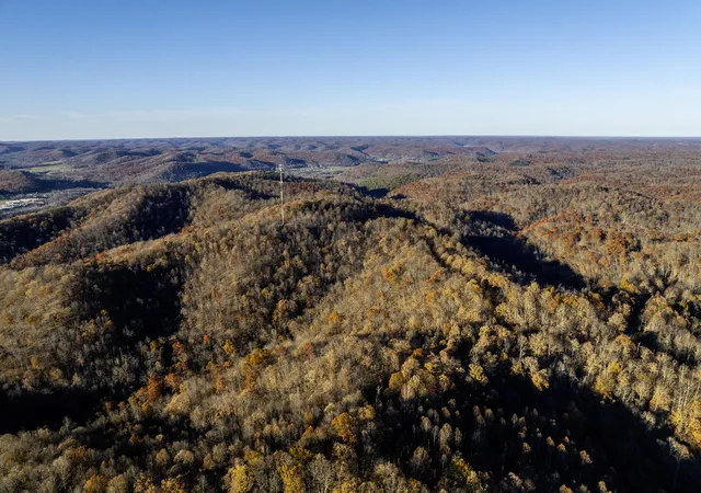 Photo 3 of Land for sale at 3300 Forestry Ridge Rd, Morehead, KY 40351 | MLS# 26009481 | Listing updated on 2026-04-30