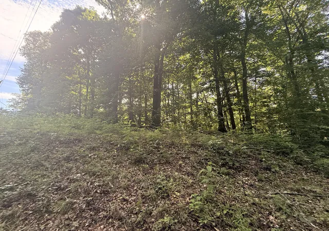Photo 3 of Land for sale at Lot 27 Timber Ridge Rd, Nancy, KY 42544 | MLS# 26011437 | Listing updated on 2026-08-24