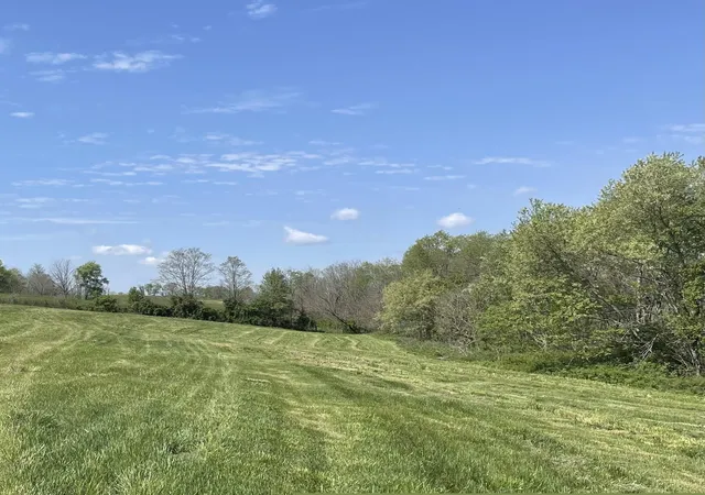 Photo 1 of Land for sale at 3527 W 36 Highway, Cynthiana, KY 41031 | MLS# 26009620 | Listing updated on 2026-05-19