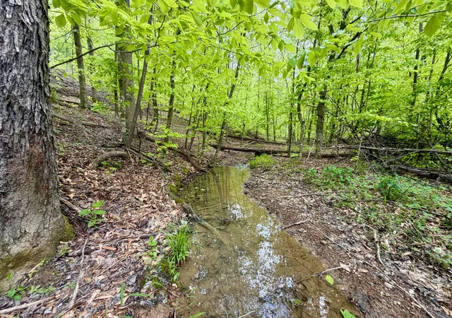Photo 3 of Land for sale at 100a Open Frk Rd, Morehead, KY 40351 | MLS# 26009776 | Listing updated on 2026-08-18