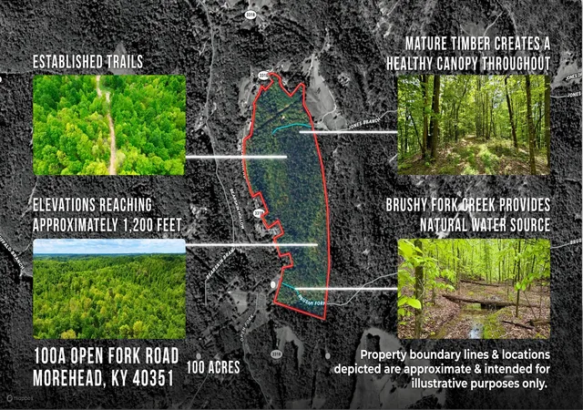 Photo 2 of Land for sale at 100a Open Frk Rd, Morehead, KY 40351 | MLS# 26009776 | Listing updated on 2026-08-18