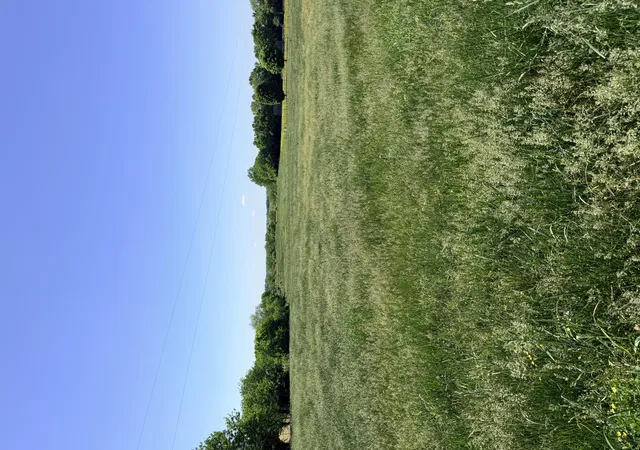 Homes for sale in Lancaster, KY | 555 Fisher Ford Rd, Lancaster, KY 40444 | MLS# 26009793