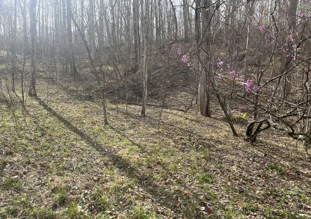Homes for sale in Ravenna, KY | Lot Mountain Springs Cem Rd, Ravenna, KY 40472 | MLS# 26009821