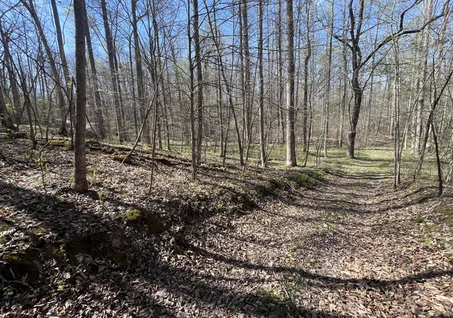 Homes for sale in Ravenna, KY | Lot Mountain Springs Cem Rd, Ravenna, KY 40472 | MLS# 26009821