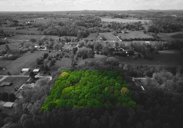 3rd image of 2Ac Barry Ln, Nancy, KY 42544 | MLS# 26009894